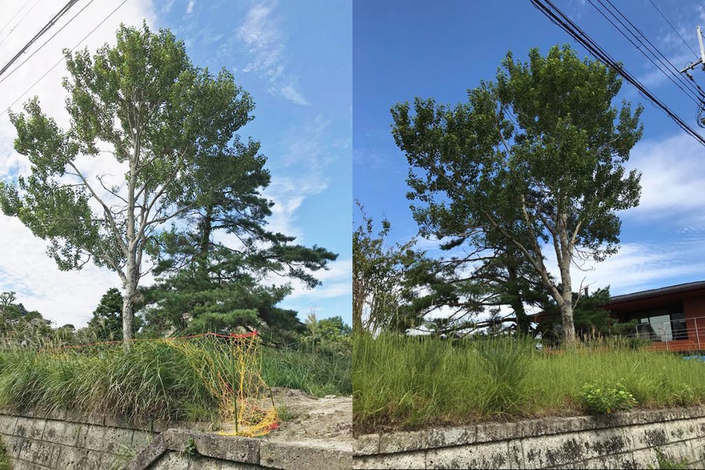 自然樹形の木々は素晴らしい/J邸(滋賀県大津市)