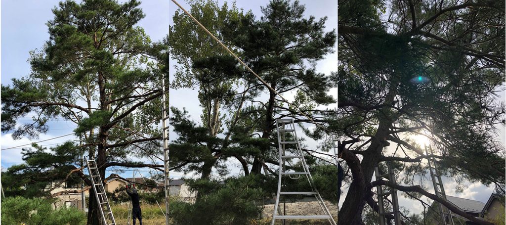 自然樹形の木々は素晴らしい/J邸(滋賀県大津市)