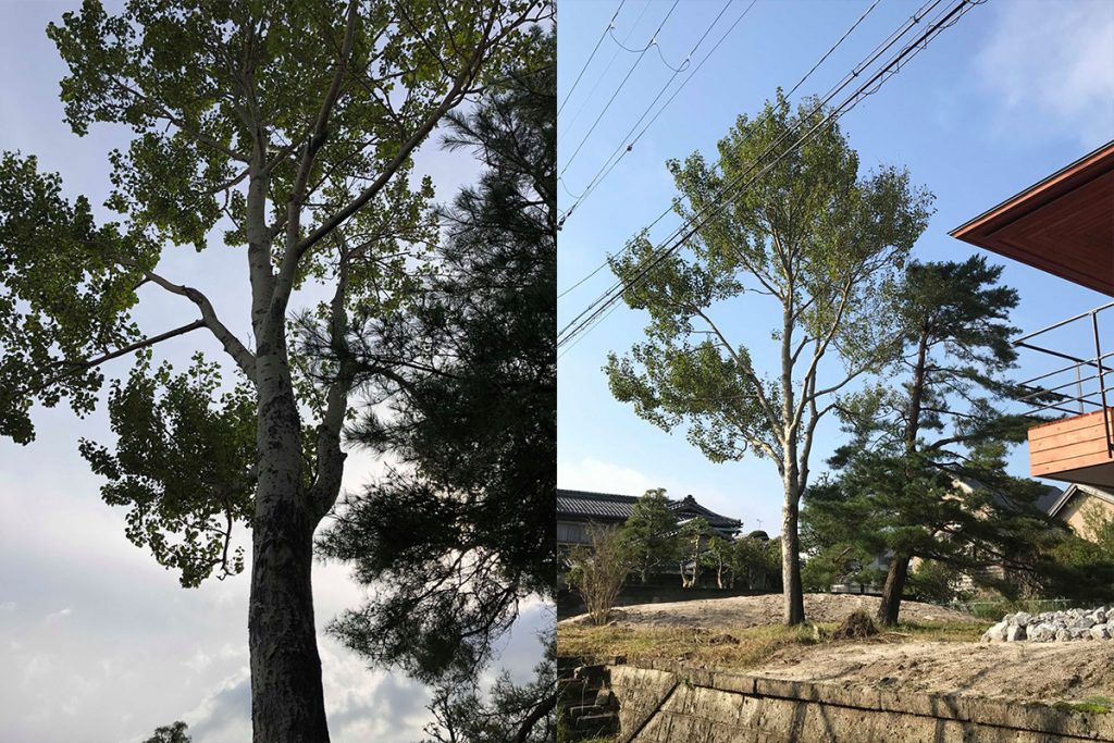 自然樹形の木々は素晴らしい/J邸(滋賀県大津市)