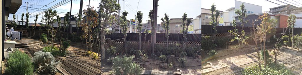 ソフトなバリアの常緑の庭/A邸(大阪府堺市)